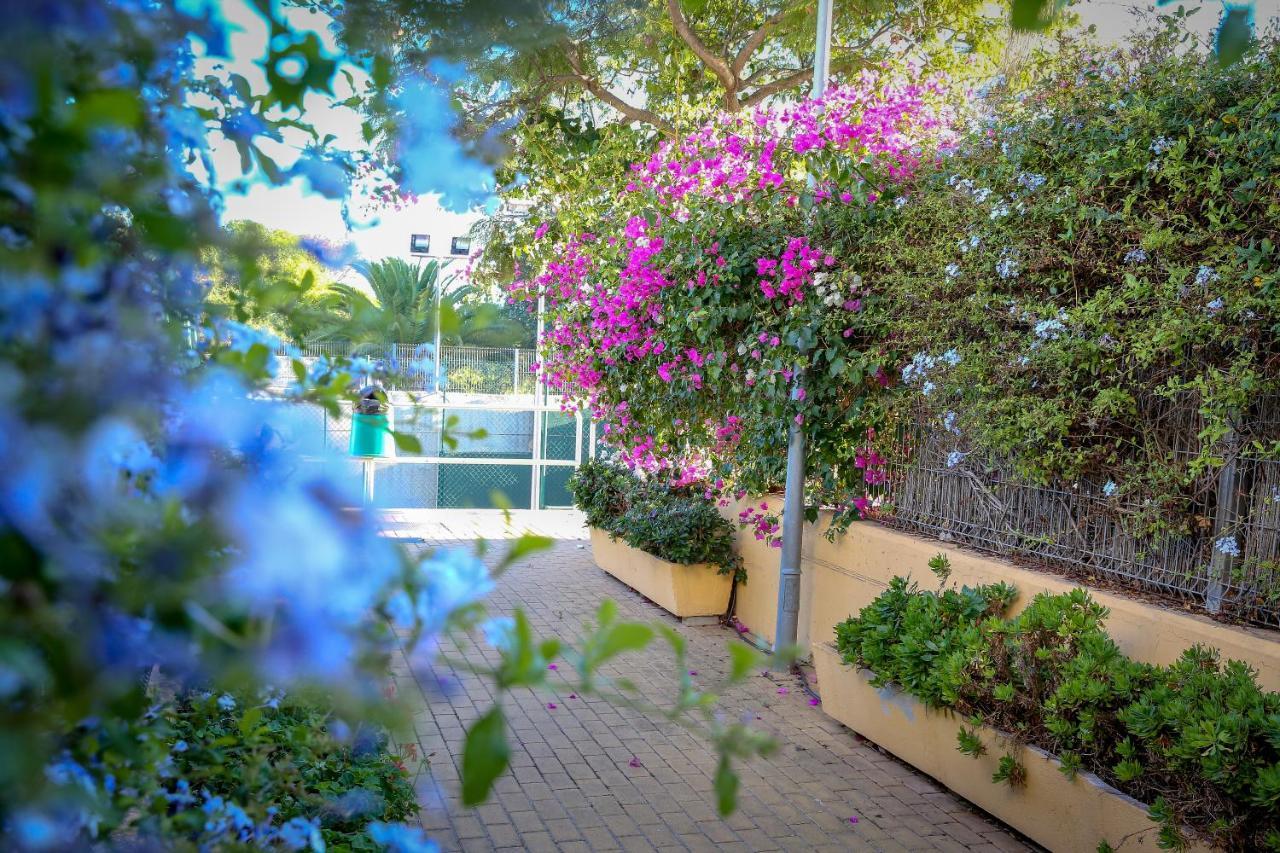 Montesol Home - Parking Gratis Ayamonte Exterior foto